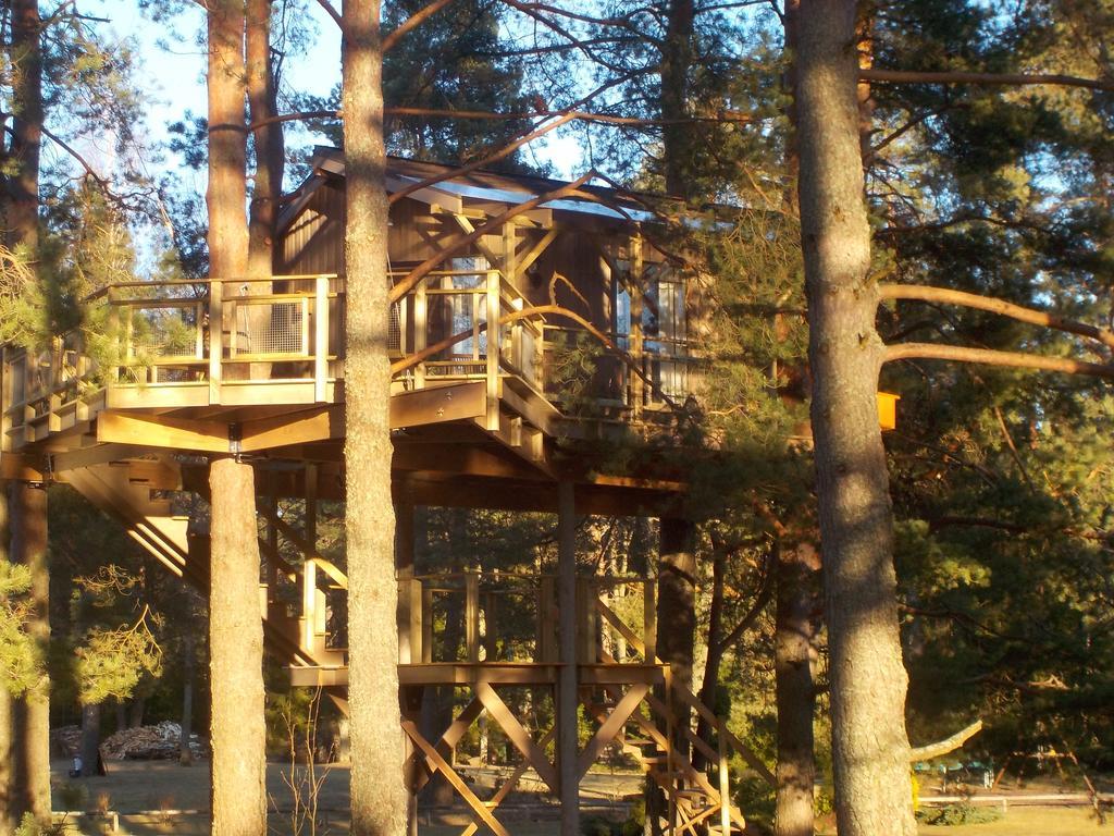 הוילה Dukuri Treehouse Ciekurs מראה חיצוני תמונה